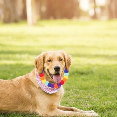 Hund Halskrause Halskragen Für Katzen Halsbänder Haustiere Hundehalsband Welpen