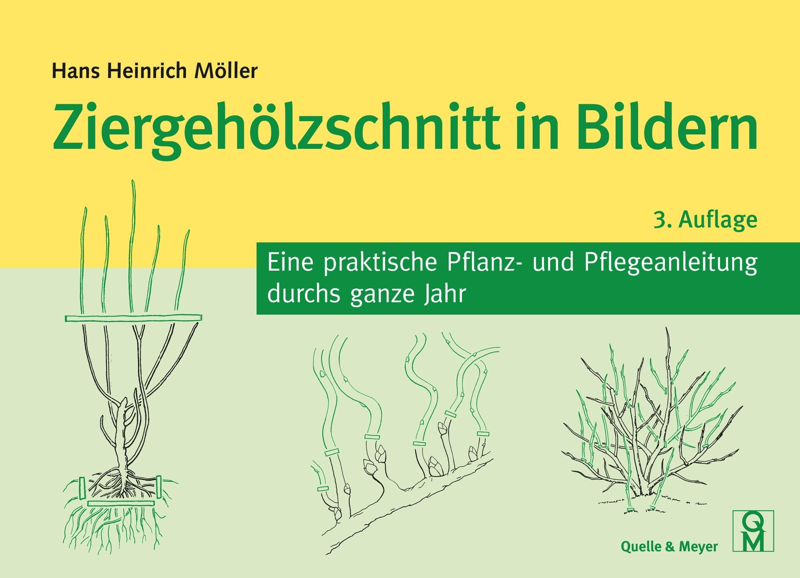 Thumbnail - Ziergehölzschnitt In Bildern Hans Heinrich Möller