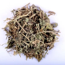 Eva Impex Patol Patra Whole – Trichosanthes Dioica