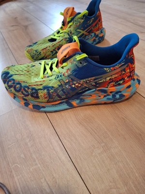 Asics Noosa Tri 14
