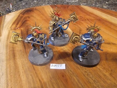 Warhammer Fantasy AOS Stormcast Eternals Retributors Painted x3