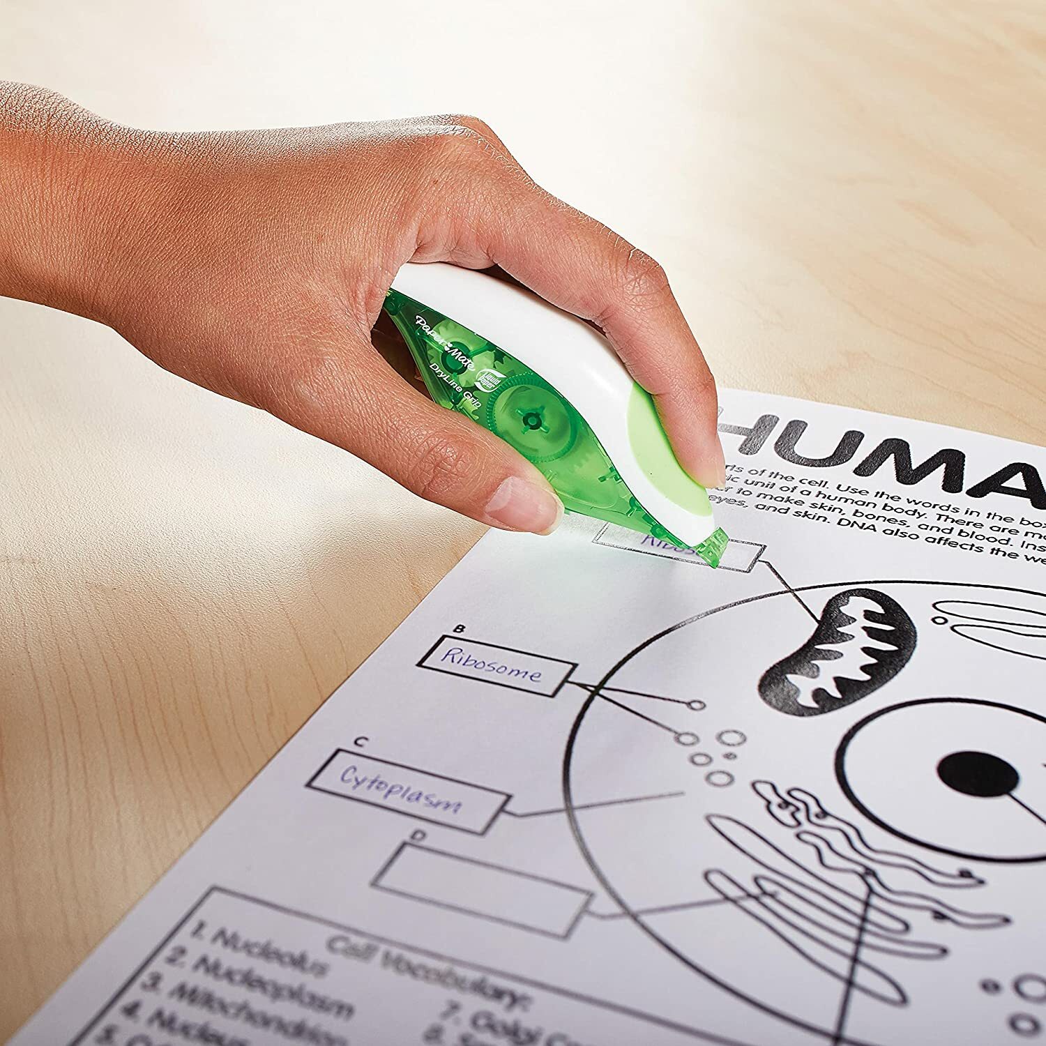 Paper Mate DryLine Grip Correction Tape, Green , 2 Count