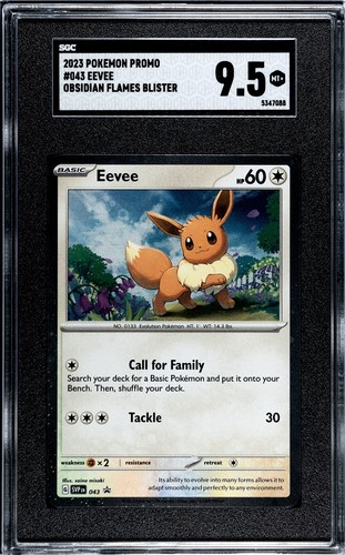 Eevee graded SGC 9.5 for sale on eBay