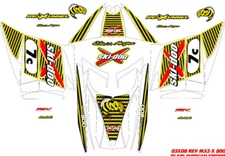 SKI DOO SNOWMOBILE REV BLAIR MORGAN 03 FACTORY REPRODUCTION DECAL KIT