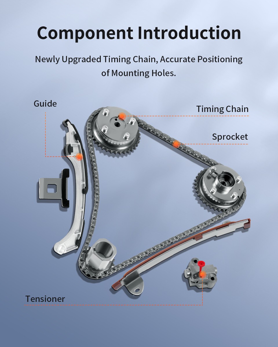 Toyota Timing Chain Removal Toyota Corolla Ford Focus Timing Chain