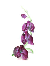 Swarovski Orchid In Swarovski Figurines for sale | eBay Swarovski Orchid In Swarovski Figurines for sale | eBay