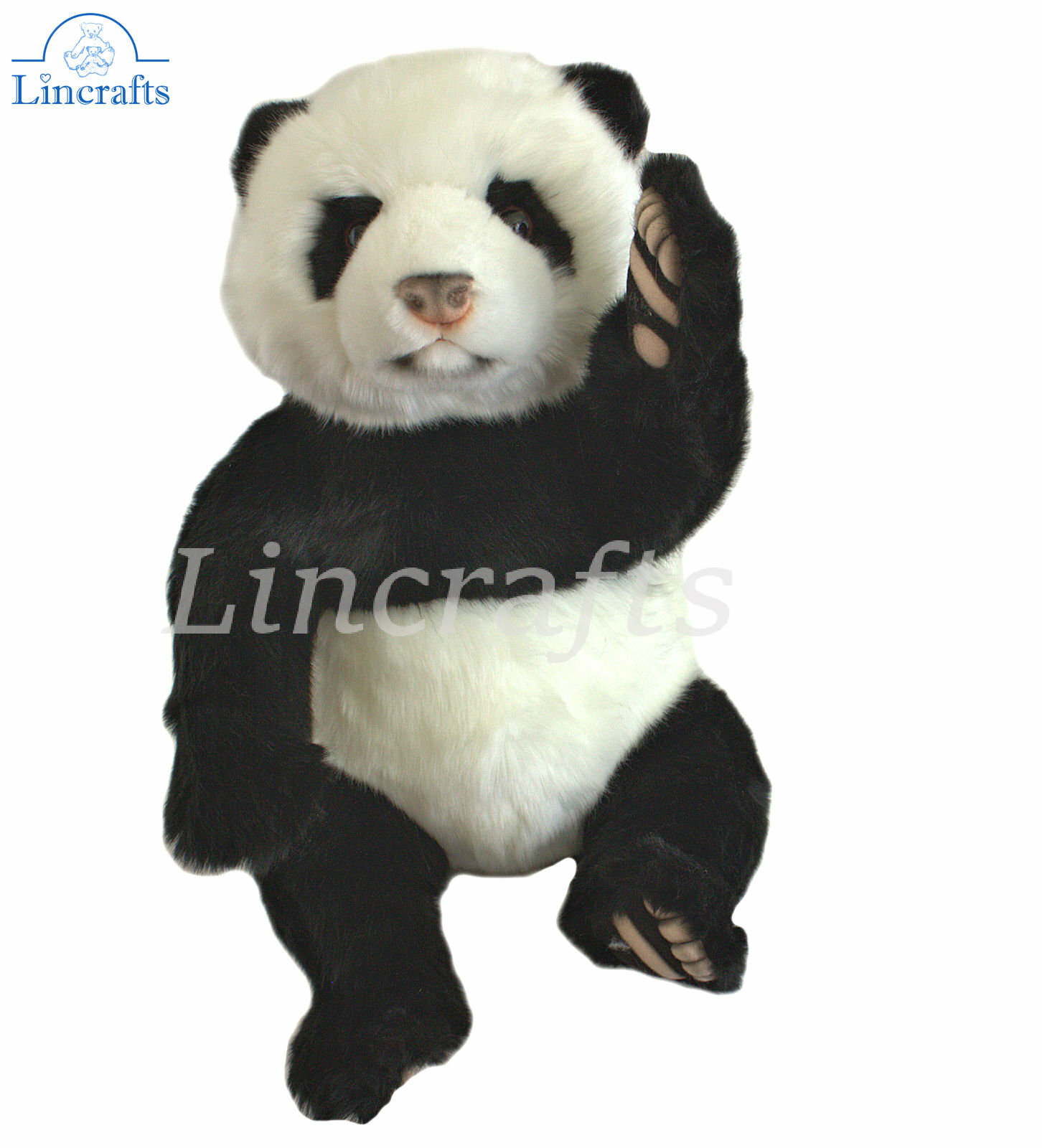 Hansa Sitting Panda Cub 6649 Plush Soft Toy Sold by Lincrafts UK Est 1993