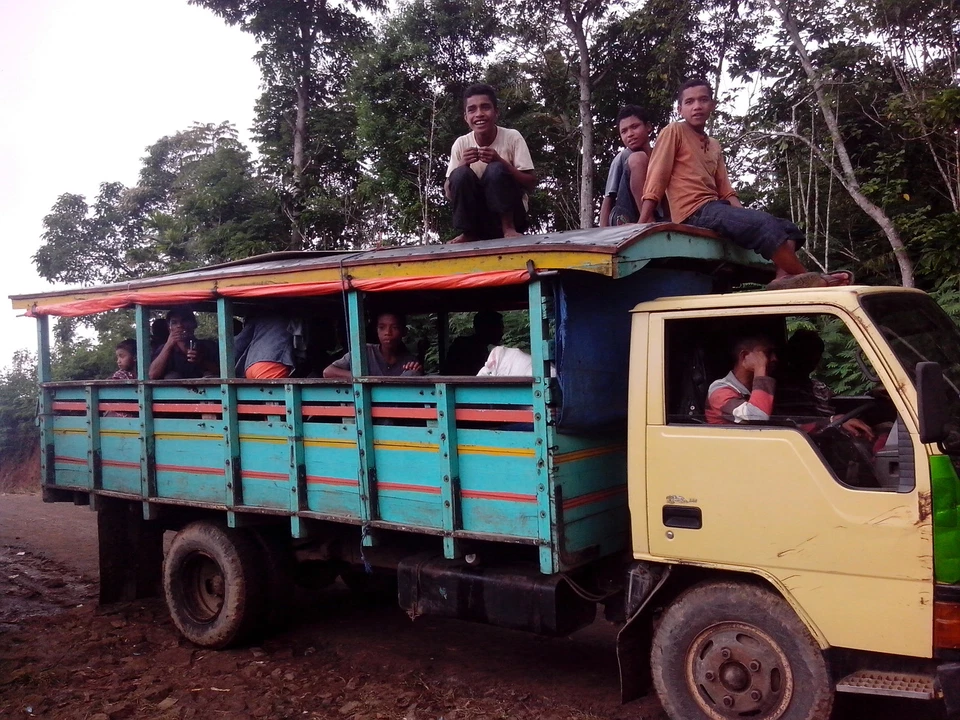 Lavanta кофе от 5 до 15 фунтов ароматизированный (вы выбираете) кофе обычный или без кофеина! 3 из 3 - Изображение 4 из 4