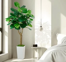 Fiddle Leaf Fig Tree, 6ft Artificial Tree with White Tall Planter, Large Faux...