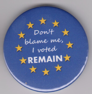 Pro EU, Anti-Brexit Protestabzeichen: Gib mir keine Schuld, ich habe für Verbleib gewählt! Europäische Pin