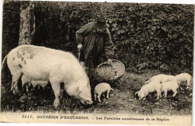 CPA Souvenir d'Excursion-Les Familles nombreuses de la Région (233917)