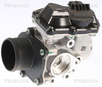 Triscan AGR Ventil 8813 16002 FüR Ford Galaxy 3 CK Kuga DFK MAX CJ WA6 Mondeo 5