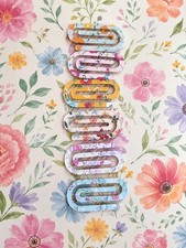 Jumbo Flower Acrylic Paper Clips ? 1pc random pick