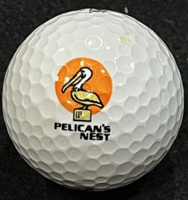 Pelican's Nest Golf Club Logo Golf Ball Bonita Springs, FL