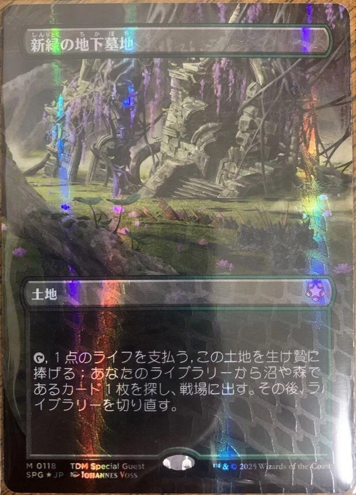 新緑の地下墓地　ドラゴンスケイルfoil ドラゴンスケイル・Foil】(118)□ボーダーレス□《新緑の地下