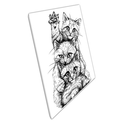 Cute Black White Sketch Happy Kittens Cats Playing Together Art Print Canvas