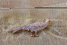 Cute Peacock Design Stone Encrusted Broach. Great Condition. Never Worn