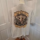 Picture 4 of 6