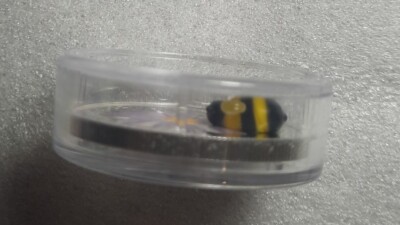 2012 🇨🇦 Canada $20 Aster with Venetian Glass Bumble Bee