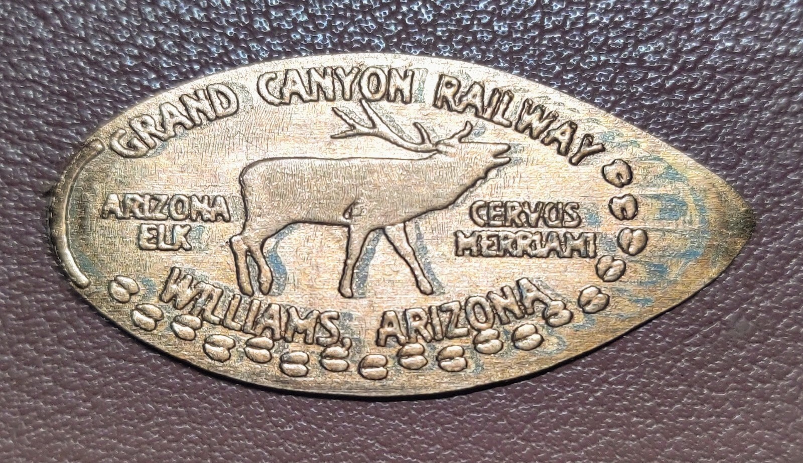 Grand Canyon Arizona Elk Williams AZ Elongated Pressed Zinc Penny eBay