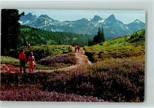 40139944 - Spaziergaenger im Mount Rainier National Park Washington State