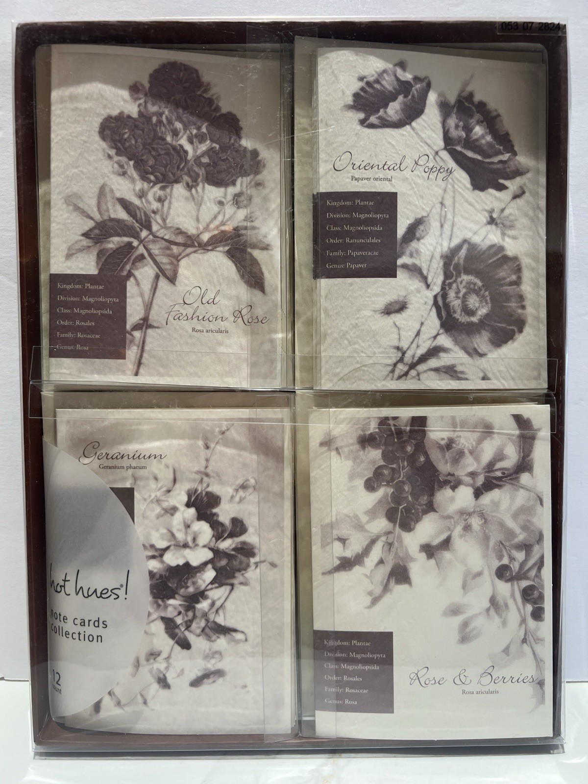 Hot Hues! Sepia Toned Blank Floral Note Card Collection, 12 count Sealed Box NEW