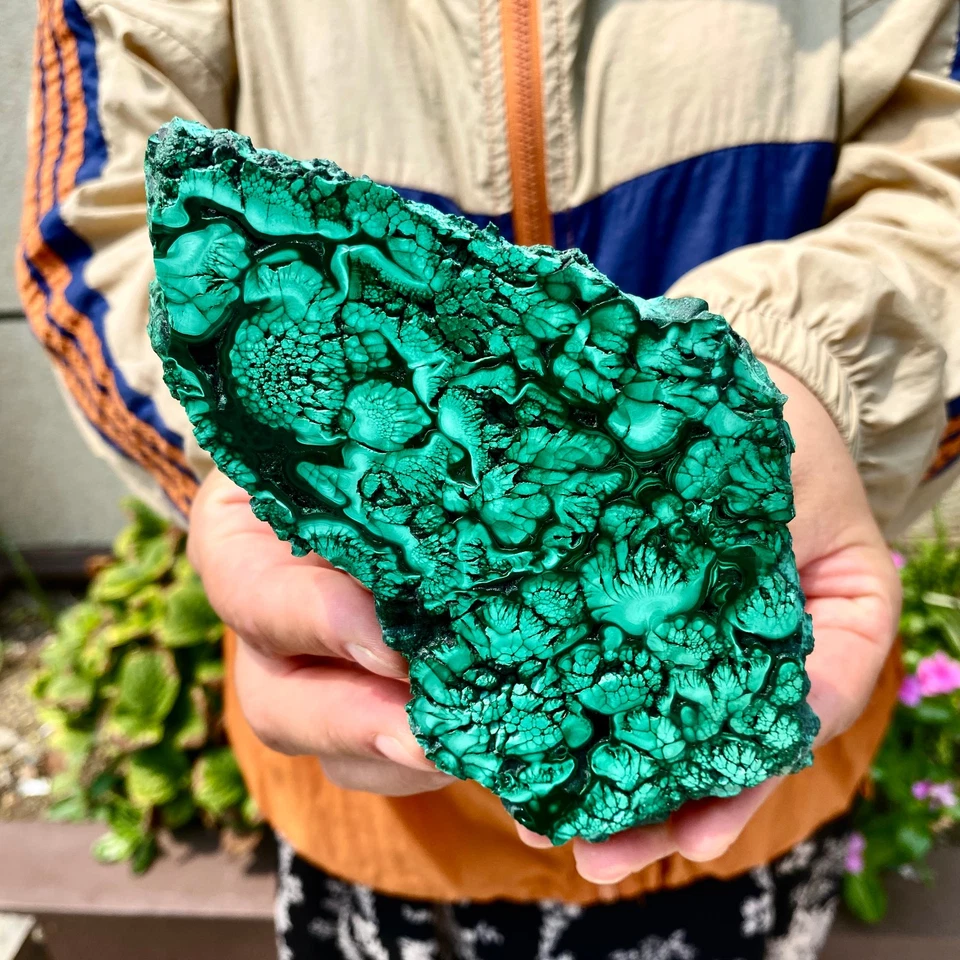 380G Malaquita Natural Escama Cuarzo Cristal Mineral Espécimen Decoración Reiki - Foto 4 de 4