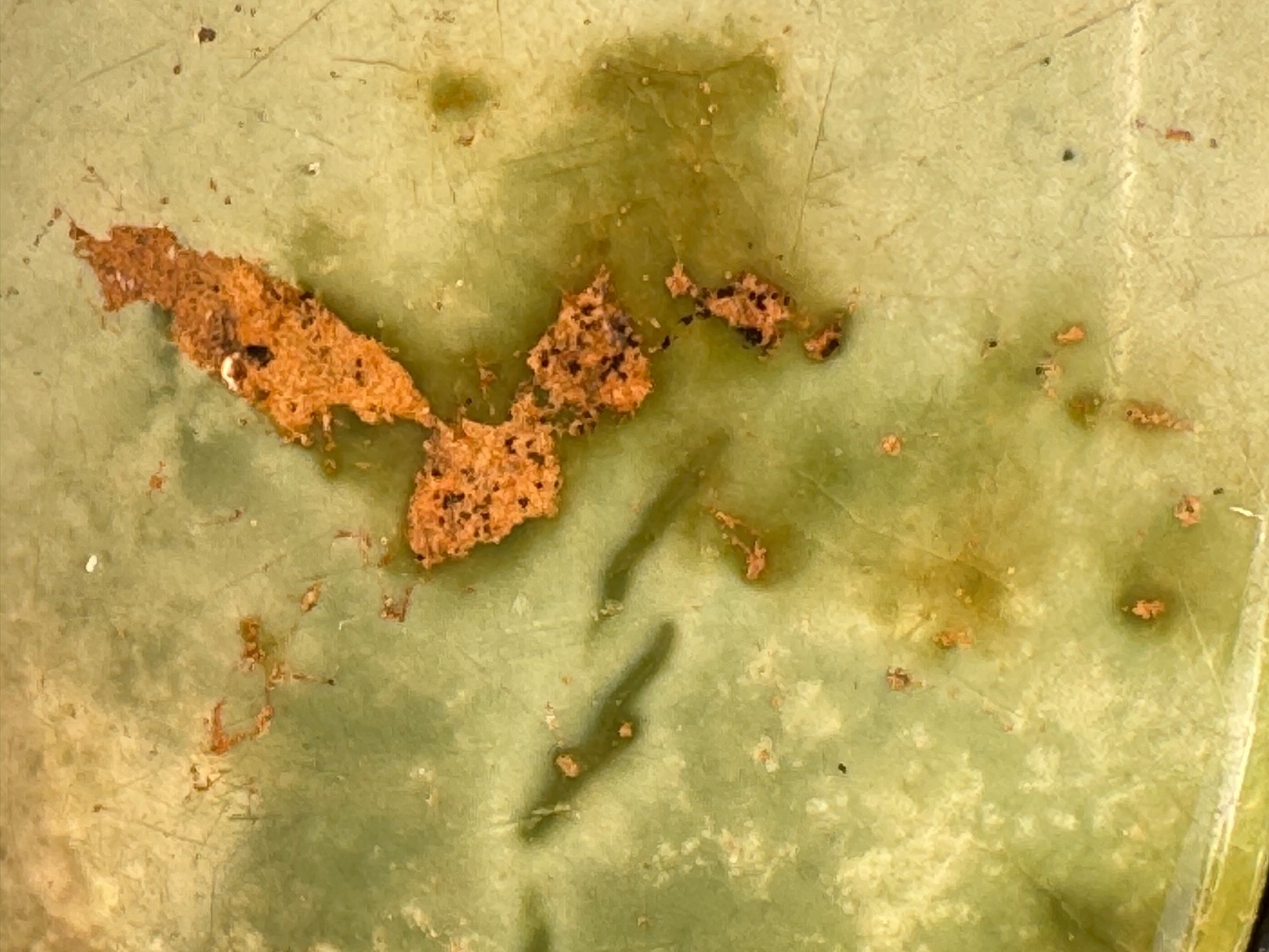 Green Jasper Statement Ring Sterling Silver Artis… - image 4