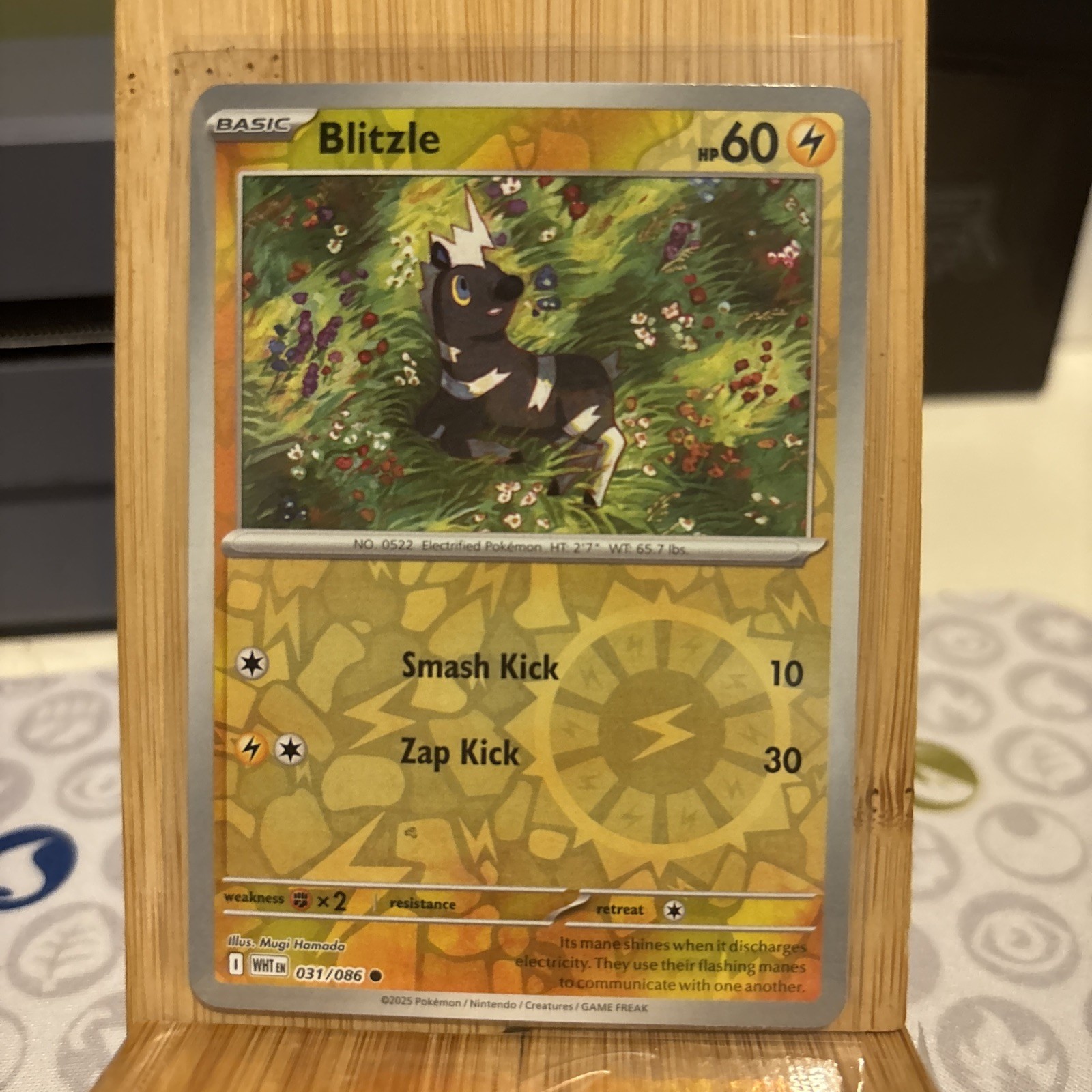 Blitzle 031/086 Common Reverse Holo - Pokemon TCG White Flare - NM