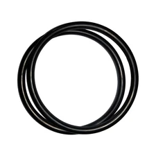 R172009 O-283 O-Ring for Pentair Rainbow Model 300/320 Pool and Spa Chlorinator 