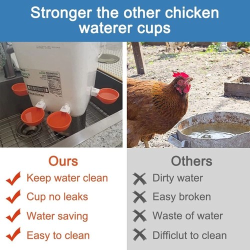 Geflügel-Kit Trinkbecher Futter wasser zubehör Für Küken Enten gans - Bild 8 von 11