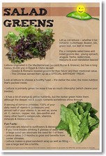 Salad Greens - NEW Health and Safety POSTER
