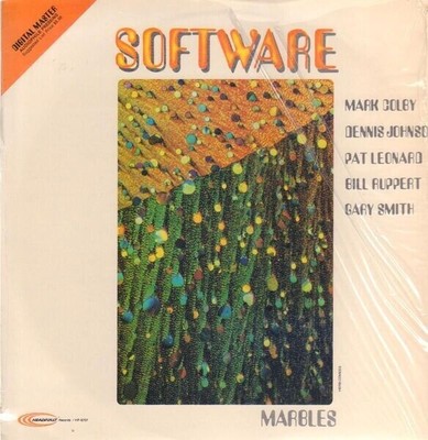 Software Marbles NEAR MINT headfirst Vinyl LP