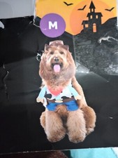 Vibrant Life Dog Cowboy Costume Medium