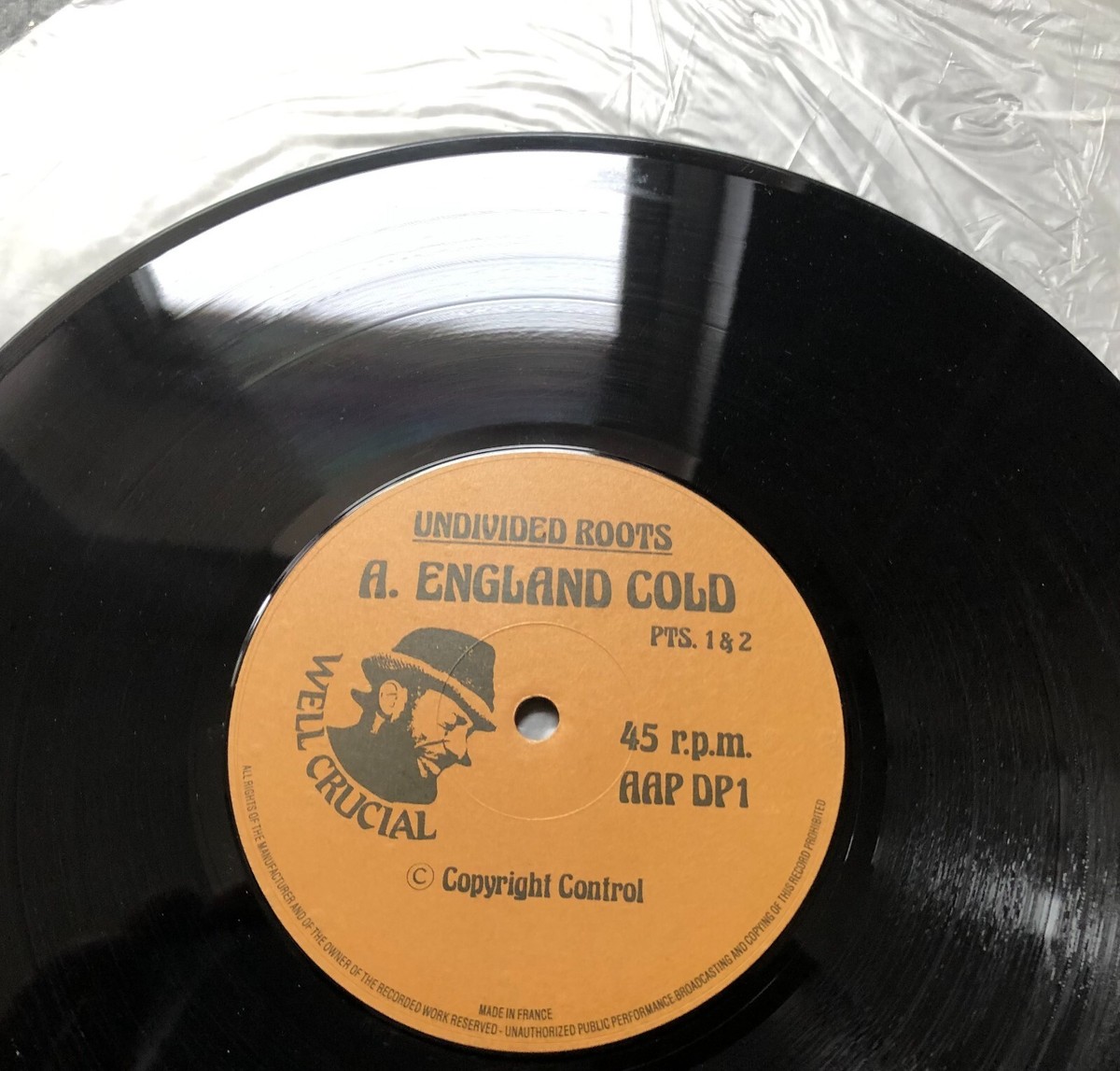 英10” Undivided Roots England Cold AAPDP1 Well Crucial Records /00200 UNDIVIDED ROOTS ENGLAND COLD 1982 UK WELL CRUCIAL VINYL 10