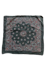 Vtg paisley Hav-A-Hank bandana Bandanna