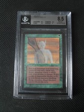 Camouflage BGS 8.5 Beckett bewertet - Limited Edition BETA (LEB) 1993 NM MTG