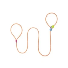 Dog Slip Lead Dog Leash 5 FT Training LeashNo-Pull Slip Leash and Collar 0.29...