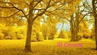 Bild 5 von 9