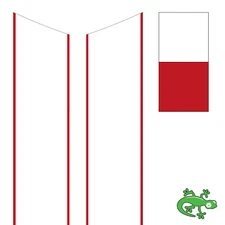 White with Custom Color Border Hood Stripes Laminated- Mini Cooper  2014-2024