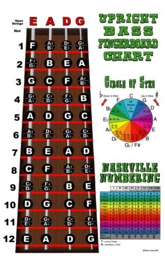 4 String Bass Fingerboard Chart