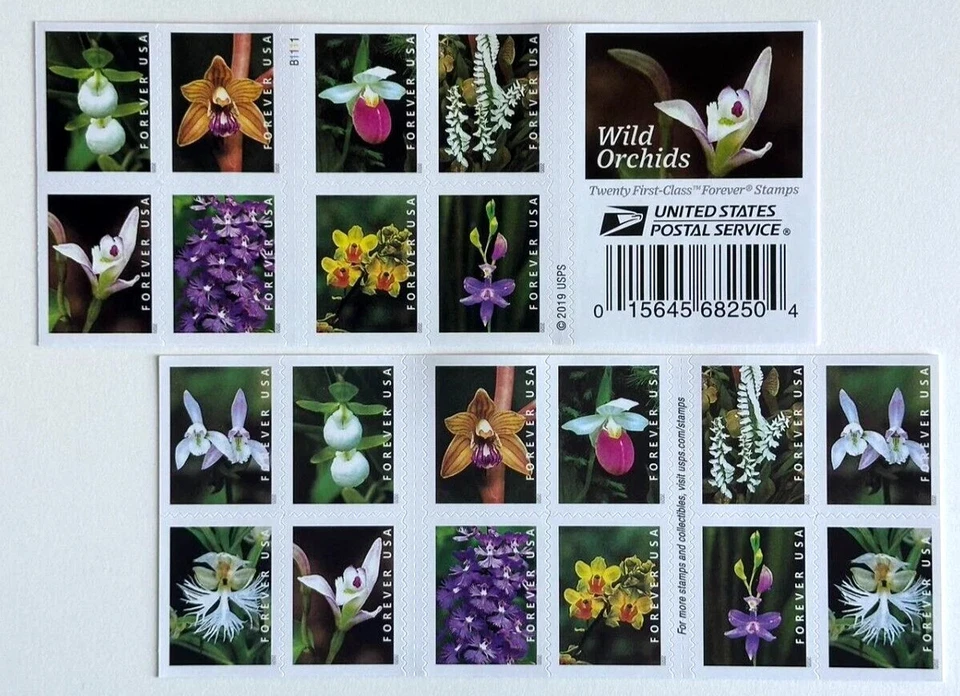 🌸 🌷USPS sheet /Booklet OF Forever Stamps Floral Retired Unused🪻🪴 - Image 4 of 4