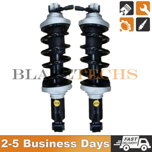 Lamborghini Huracan 2015-2021 Rear Left, right Strut assemblies Pair Photo - $316