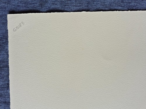 1990 GARY BUKOVNIK Bleistift signiert "Sonnenblumen in einer Vase" Lithographie # 103/200 - Bild 7 von 7