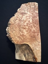 Lace Maple Burl, Live Edge, 11 Long, 6 1/4 Wide, 2 3/8 Thick, Dry