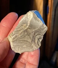 UNIQUE Texas Zebra Flint Rock Wrap-Around Stripes Banded Quality Bullseye Chert