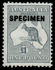 1924 Australia SG75s &pound;1 Grey SPECIMEN Lightly mounted with Hinge Remnant (NT4)