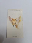 Cigarette card  wills -wild animals heads  - No 22 - free postage - lot  1016
