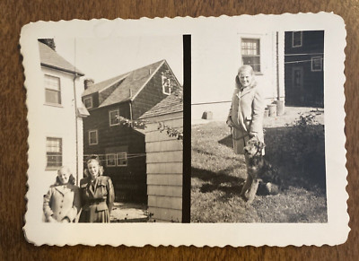 1940s Pretty Women Ladies Dog Puppy Pet Fashion Smiling Family Real Photo P4q8