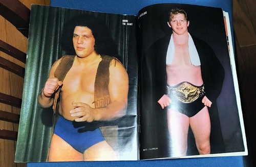 GONG MAGAZINE '78 USA CHAMPIONSHIP WRESTLING ALBUM 1978 - Picture 5 of 9